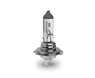 Halogen Halogen