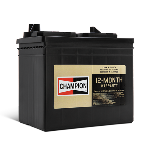 Champion-Lawn-And-Garden-Battery-Low-Res